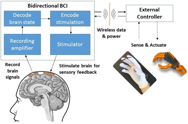 A bidirectional brain-computer interface (BBCI) can both record signals from the brain and send information back to the brain through stimulation. CSNE
